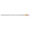 Easton Shaft Carbon X10 Protour 420 C2 - Image 3