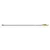 Easton Shaft Carbon Hunting PowerFlight 300 - Image 2