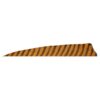 Gateway Feather 4" Shield RW Barred Orange - Image 3