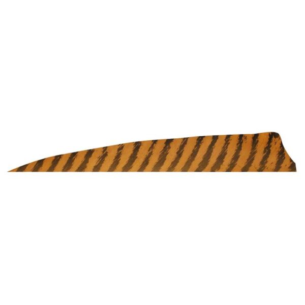 Gateway Feather 4" Shield RW Barred Chartreuse - Image 3