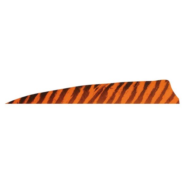 Gateway Feather 4" Shield RW Barred Chartreuse - Image 2