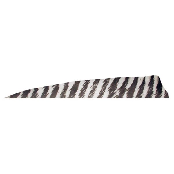Gateway Feather 4" Shield RW Barred Chartreuse - Image 7
