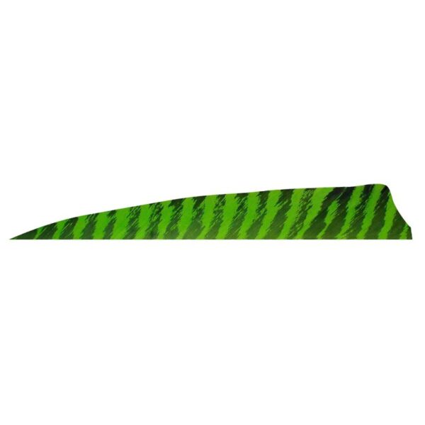 Gateway Feather 4" Shield RW Barred Chartreuse - Image 5