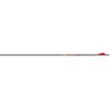 Gold Tip Shaft Carbon Hunting Hunter 500