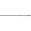 Gold Tip Shaft Carbon Hunting Kinetic 200