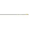 Gold Tip Shaft Carbon Hunting Velocity Pro 700 (no components)