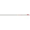 Gold Tip Arrow Carbon Hunting Hunter 400 with 2" Vanes - Image 3