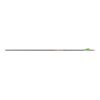 Gold Tip Arrow Carbon Hunting Hunter 400 with 2" Vanes