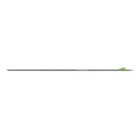 Gold Tip Arrow Carbon Hunting Hunter 300 with 2" Vanes