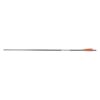 Gold Tip Arrow Carbon Hunting Fletched Warrior 400 with 4" Feathers - Image 2