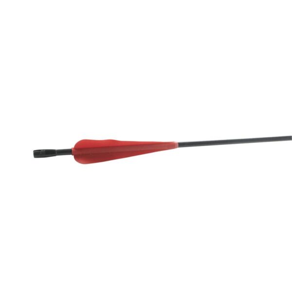 IDV Arrow Archery Tag Flat Head with Black Vanes - Image 2