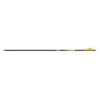 Gold Tip Shaft Carbon Series 22 Plus - Image 2