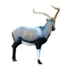 SRT Target 3D Iberian Ibex - Image 2