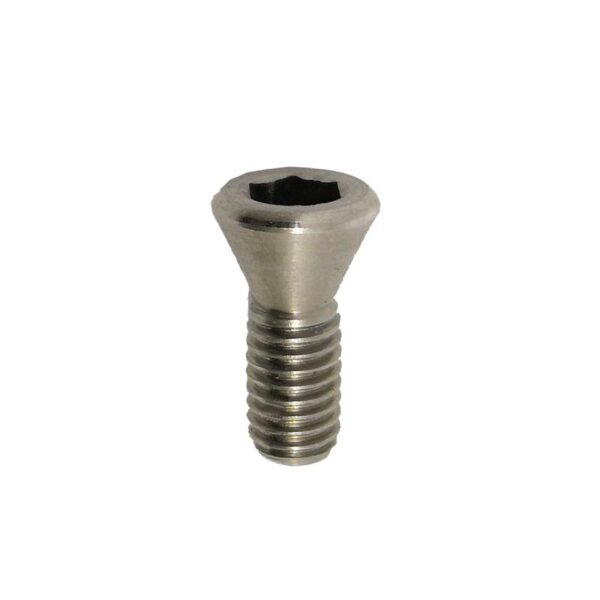 Gillo Limb Bolt Locking Screw Stainless Steel 15 mm