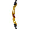 Gillo Handle GT 25 Formula RH Black/Blue