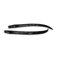 Sebastien Flute Limbs Ascent 66"-34#
