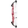 Hoyt Compound Bow Stratos 40 SVX LH 60#-(28.5"-29.5") (Cam 3) 70% Let Off Frost White Handle/Black Limbs - Image 7