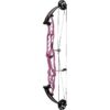 Hoyt Compound Bow Stratos 40 HBT LH 60#-(25.5"-29.0") (Cam 1) 65-75% Let Off Stardust Purple Handle/Black Limbs - Image 7