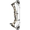 Hoyt Compound Bow RX-9 RH 50#-(27.25''-28.0') (Mod 3) 75-85% Let Off Bourbon - Image 3
