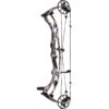Hoyt Compound Bow RX-9 Ultra RH 50#-(29.25''-30.0") (Mod 4) 75-85% Let Off Tombstone - Image 7