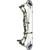 Hoyt Compound Bow RX-9 Ultra RH 50#-(29.25''-30.0") (Mod 4) 75-85% Let Off Tombstone - Image 10