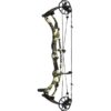 Hoyt Compound Bow RX-9 Ultra RH 50#-(29.25''-30.0") (Mod 4) 75-85% Let Off Tombstone - Image 2
