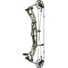 Hoyt Compound Bow Alpha AX-2 32 RH 50#-(27.25''-28.0") (Mod 2)75-85% Let Off Tombstone Handle/Tombstone Limbs - Image 5